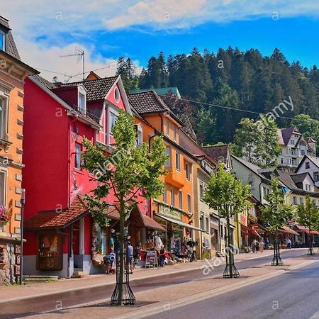 Dm Apartment Triberg im Schwarzwald Dış mekan fotoğraf