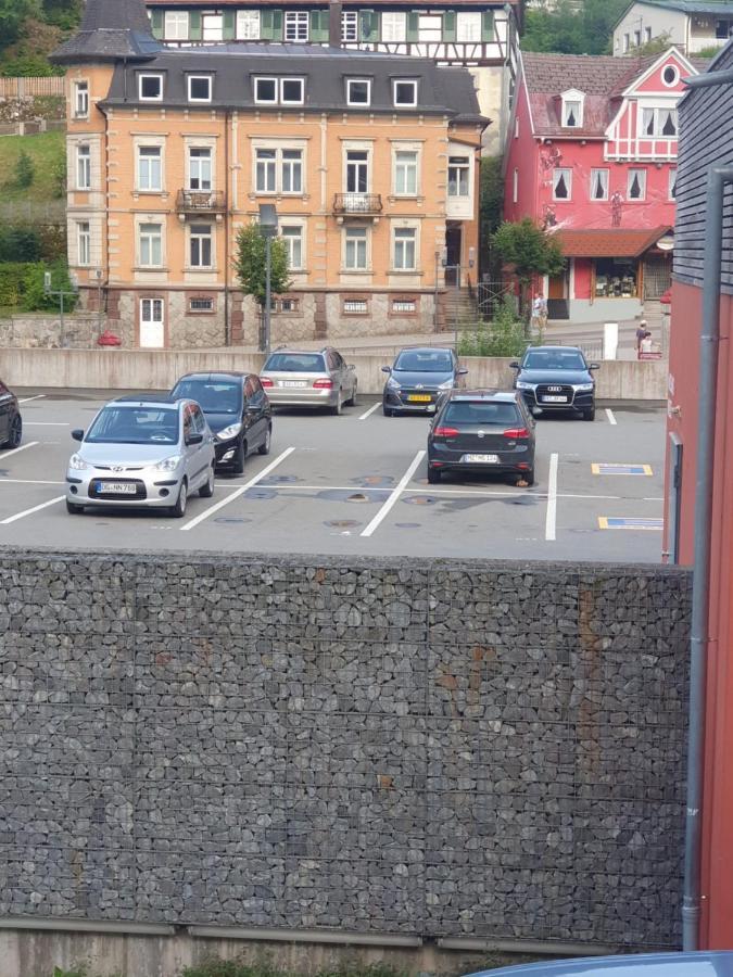 Dm Apartment Triberg im Schwarzwald Dış mekan fotoğraf